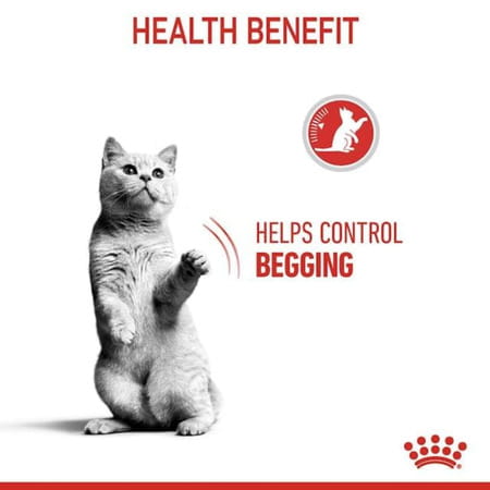 Royal Canin Appetite Control Care For Adult Cats | 2 Kg | Control Begging In 4 Weeks