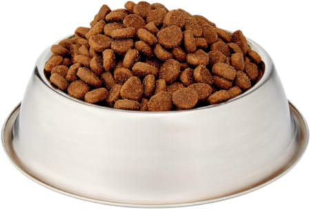 Orijen Six Fish Dry Dog Food | Grain Free And Chicken Free Dog Food | 2 Kg | All Life Stages