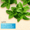 Pears Pure & Gentle Mint Extracts Body Wash | 100% Soap Free | 750Ml (Free Loofah)