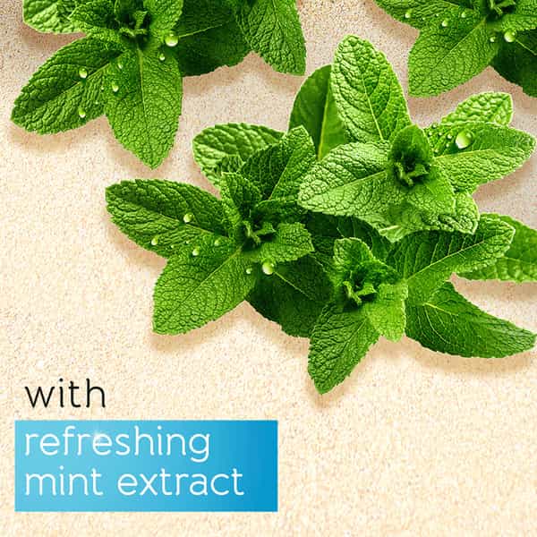 Pears Pure & Gentle Mint Extracts Body Wash | 100% Soap Free | 750Ml (Free Loofah)