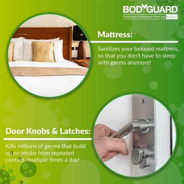 Bodyguard Multipurpose Disinfectant Spray Alcohol Based Kills 99.9% Of Germs - 300Ml