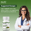 Inlife Moringa Oliefera Leaf Extract 500Mg 60 Vegetarian Capsules Weight Loss & Digestion