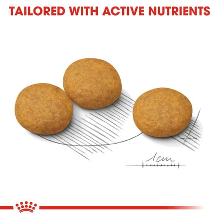 Royal Canin Derma Comfort Medium Adult Dog Food | 3 Kg | Proven Results In 2 Months