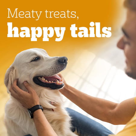 Pedigree Tasty Jerky Dog Treat | Roasted Lamb Flavour | 70 G X 12 | Jerky-Style Treats For Bonding