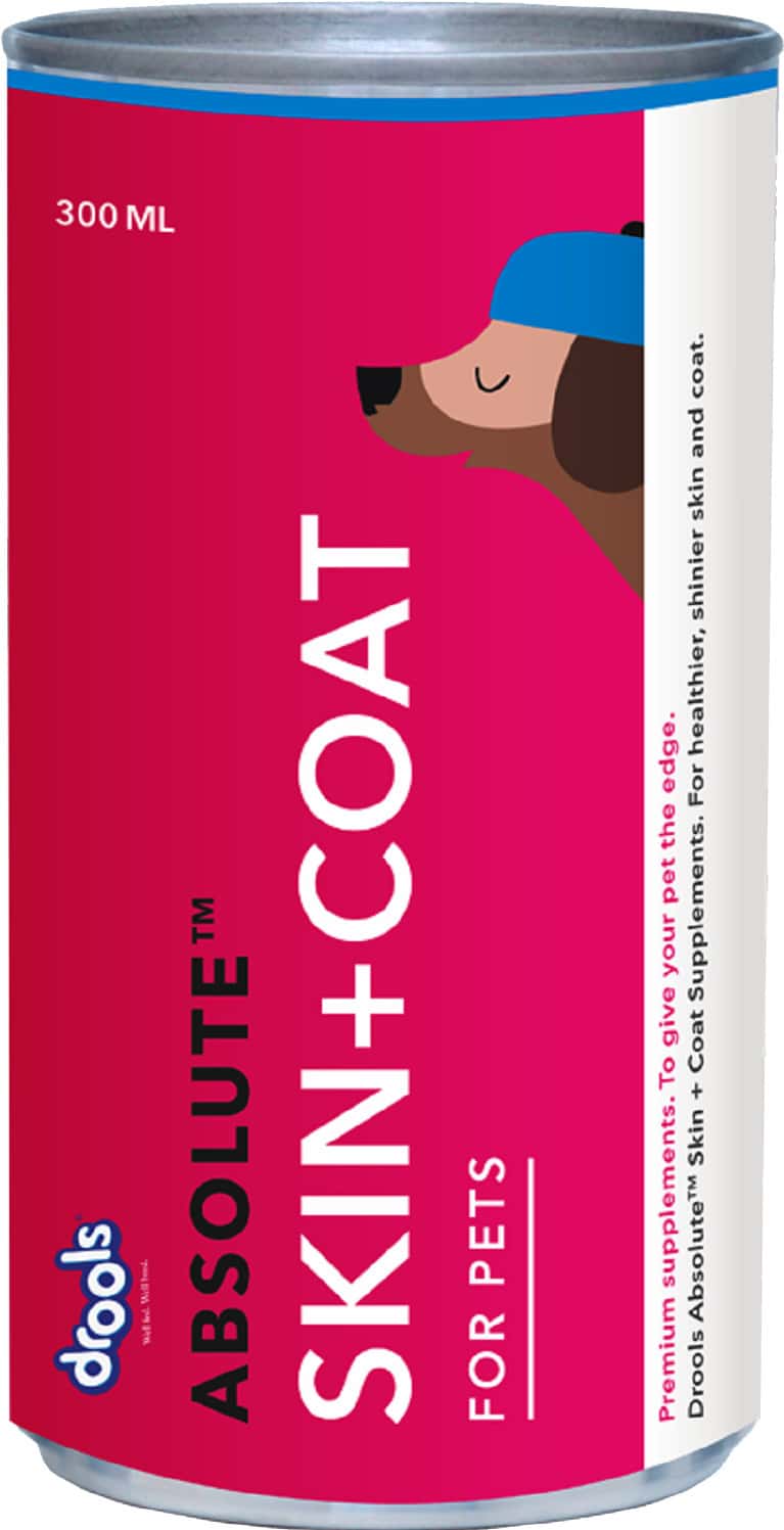 Drools Absolute Skin & Coat Syrup - Dog Supplement 300ml