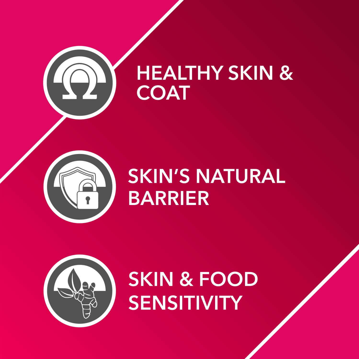 Buy DROOLS ABSOLUTE SKIN & COAT SYRUP DOG SUPPLEMENT 300ML Online