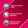 Drools Absolute Skin & Coat Syrup - Dog Supplement 300Ml