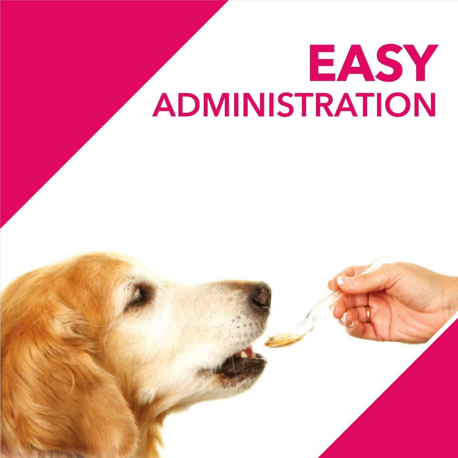 Buy DROOLS ABSOLUTE SKIN & COAT SYRUP DOG SUPPLEMENT 300ML Online