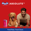 Drools Absolute Skin & Coat Syrup - Dog Supplement 300Ml