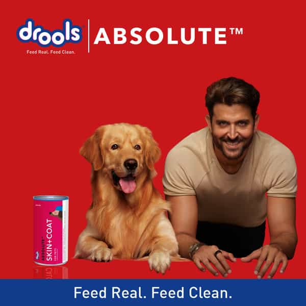 Drools Absolute Skin & Coat Syrup - Dog Supplement 300Ml