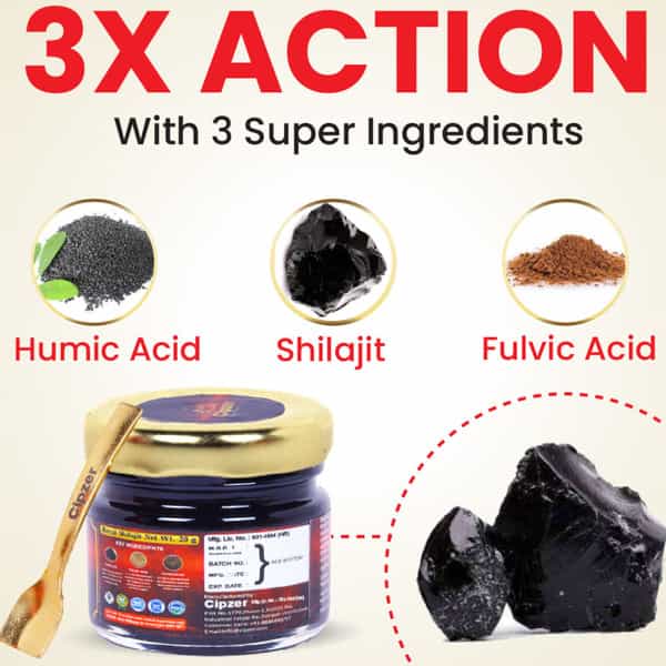 Cipzer Royal Himalayan Shilajit Resin Rich In Fulvic Acid For Stamina,Power,Vitality & Vigour 20G