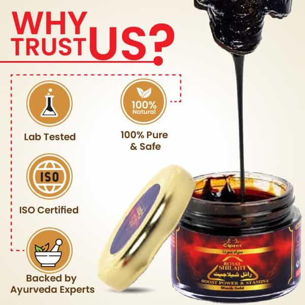Cipzer Royal Himalayan Shilajit Resin Rich In Fulvic Acid For Stamina,Power,Vitality & Vigour 20G
