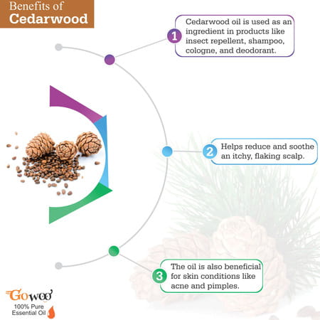 Go Woo 100% Pure Cedarwood Oil Virgin & Undiluted 50 Ml