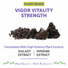 Bliss Welness Shilajit For Enhance Stamina & Performance Booster Supplement |For Men- 60 Veg Tablets