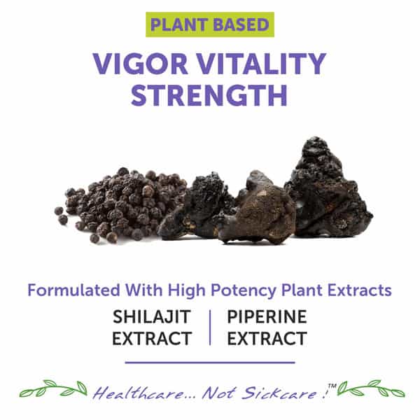 Bliss Welness Shilajit For Enhance Stamina & Performance Booster Supplement |For Men- 60 Veg Tablets