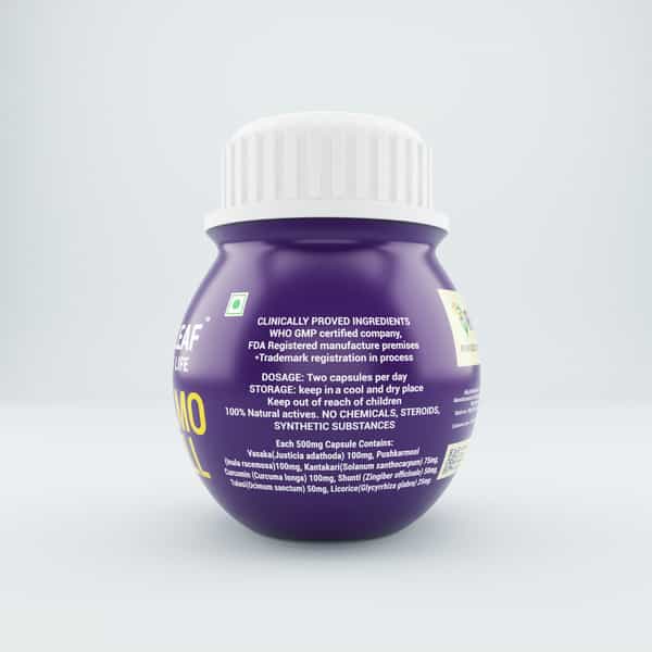 Releaf Pulmo Well Ayurvedic Respiratory Support 60N