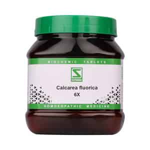 Dr. Willmar Schwabe India Calcarea Fluorica 3x 550gm