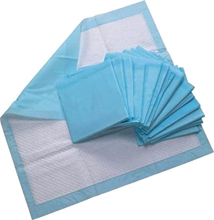 Pawcloud Pet Toilet Training Pad & Nylon Puppy Bone (17.5 Inch X 23.3 Inch) 25 Pcs