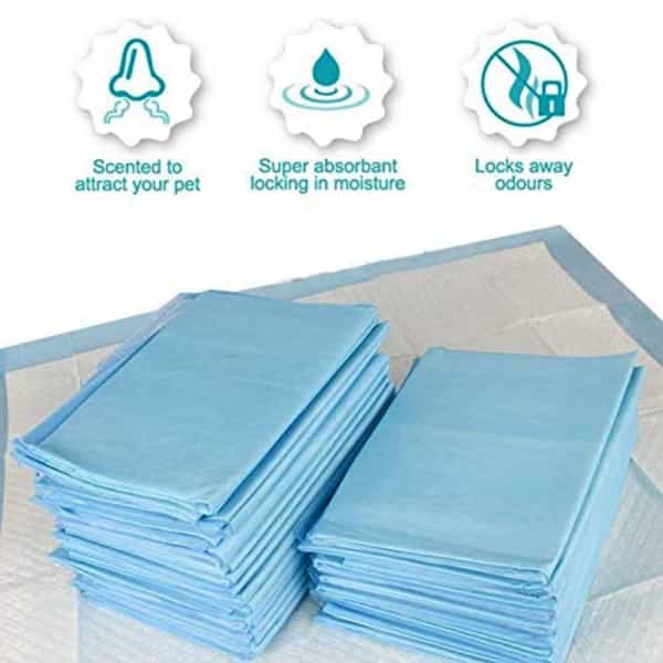 Pawcloud Pet Toilet Training Pad & Nylon Puppy Bone (17.5 Inch X 23.3 Inch) 25 Pcs