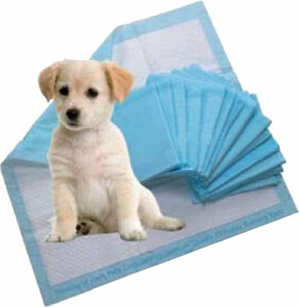 Pawcloud Pet Toilet Training Pad & Nylon Puppy Bone (17.5 Inch X 23.3 Inch) 25 Pcs