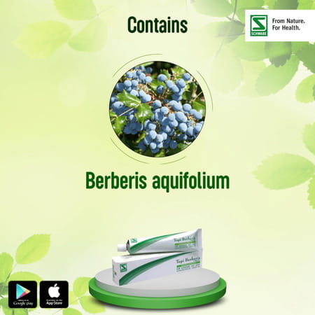 Dr. Willmar Schwabe India Topi Berberis 25 Gm