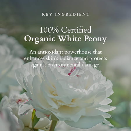 Lotus Organics+ Precious Brightening Night Cream 50G