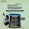 Goodcare Himalayan Shilajit Resin -15Gms