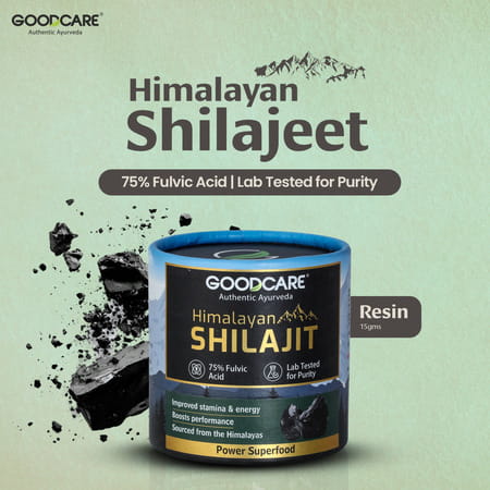 Goodcare Himalayan Shilajit Resin -15gms
