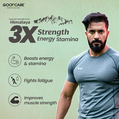 Goodcare Himalayan Shilajit Resin -15gms