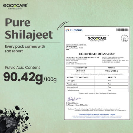 Goodcare Himalayan Shilajit Resin -15gms