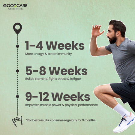 Goodcare Himalayan Shilajit Resin -15gms