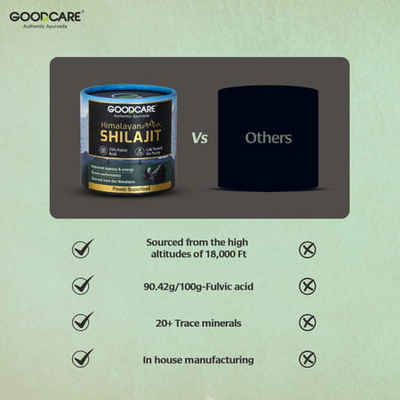 Goodcare Himalayan Shilajit Resin -15gms