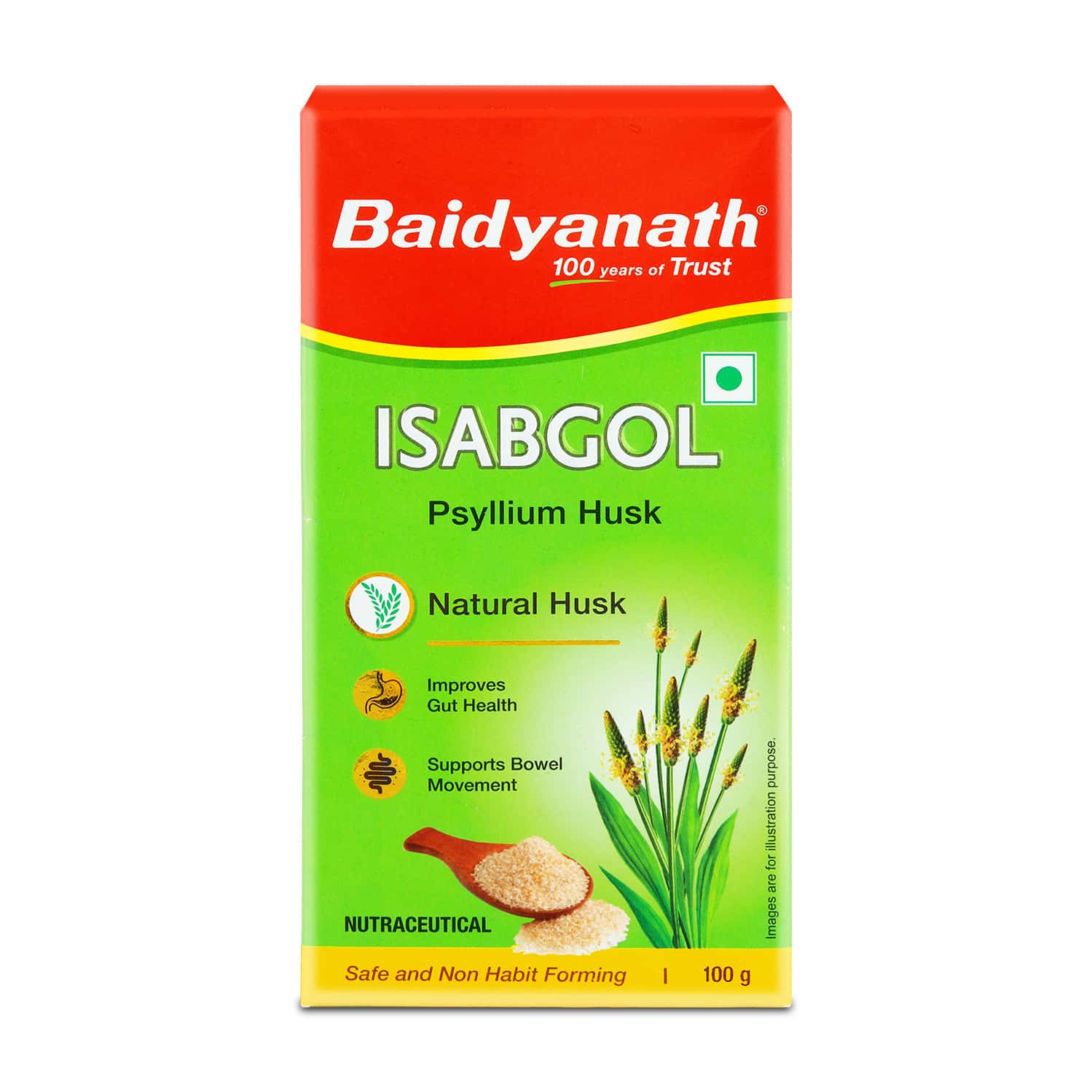 Baidyanath Isabgol (psyllium Husk) Powder 100 Gm