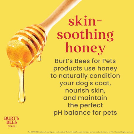 Burt's Bees For Pets Dog Multipurpose Wipes | Dogs | 50 Wipes