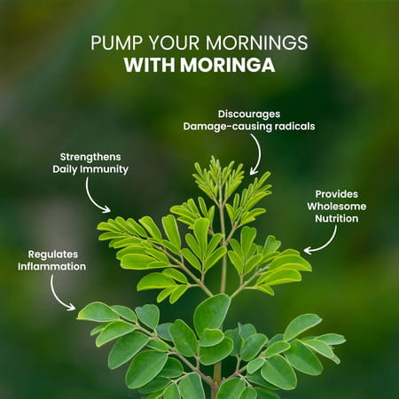 Himalayan Organics Organic Moringa | Bottle | 120 Veg Tablets