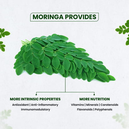 Himalayan Organics Organic Moringa | Bottle | 120 Veg Tablets