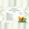 Four Seasons Giloy Tulsi Papita Juice 500Ml | Boost Immunity | Improve Digestion & Weight Loss