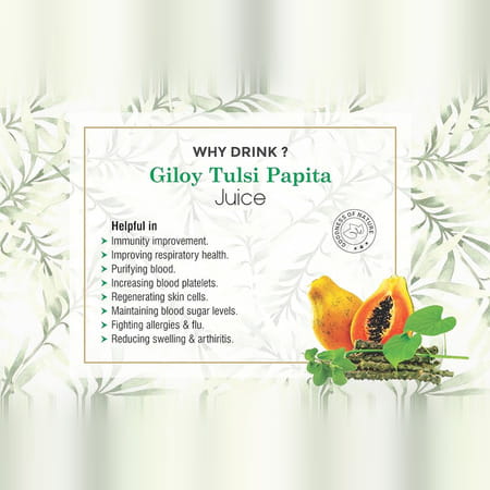 Four Seasons Giloy Tulsi Papita Juice 500Ml | Boost Immunity | Improve Digestion & Weight Loss