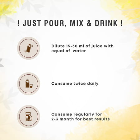 Four Seasons Giloy Tulsi Papita Juice 500Ml | Boost Immunity | Improve Digestion & Weight Loss