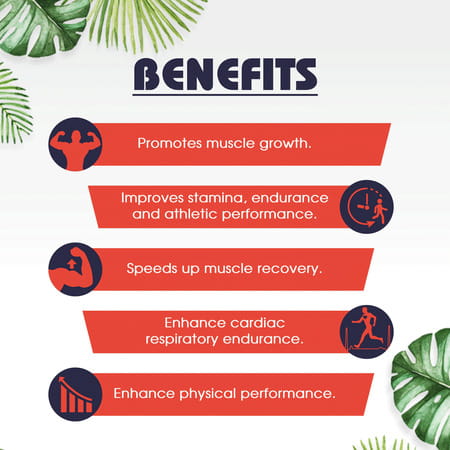 Mbdhwellness Testoboost-Ayurvedic Capsules For Muscle Gain-Gokhru Ashwangandha & More (Pack Of 3)