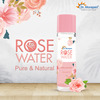 Dr. Morepen Pure & Natural Rose Water For Face | Alcohol Free Toner - 120Ml Pack Of 5