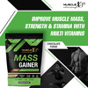 Musclexp Mass Gainer Chocolate Fudge 1Kg Pouch (2.2 Lb) (Pack Of 3)