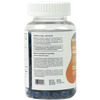 Briyo All Around Gut Guardian- 60 Billion Cfu Probiotics Prebiotics Digestive Enzymes & Herbs - 75n