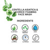 Centella Asiatica & Licorice Foaming Face Wash White