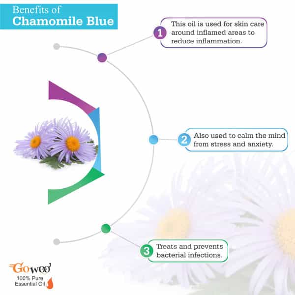 Pack Of 2 Chamomile Blue Essential Oil And Amla Carrier Oil - 100% Pure & Natural Oil