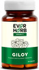 Everherb (By Pharmeasy) Giloy (Guduchi) 500Mg - Maintains Resipiratory Health - Bottle Of 60