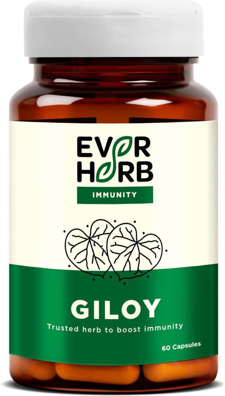 Everherb (By Pharmeasy) Giloy (Guduchi) 500mg - Maintains Resipiratory Health - Bottle Of 60