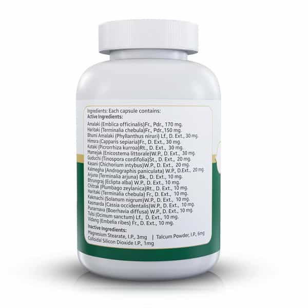 Jeena Sikho Js-Liv111/Liver Care | Ayurvedic Liver Care Supplement |Multivitamin | 60 Capsules