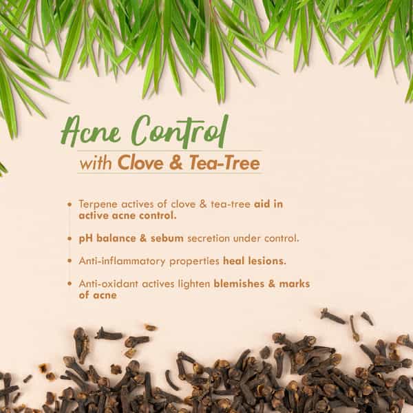 Nat Habit Clove Tea-Tree Terpene+ Light Moisturizer | Anti Acne Face Cream | Non Sticky - 30G