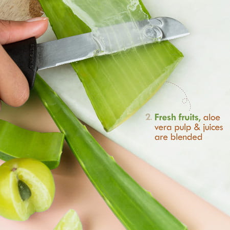 Nat Habit Clove Tea-Tree Terpene+ Light Moisturizer | Anti Acne Face Cream | Non Sticky - 30g